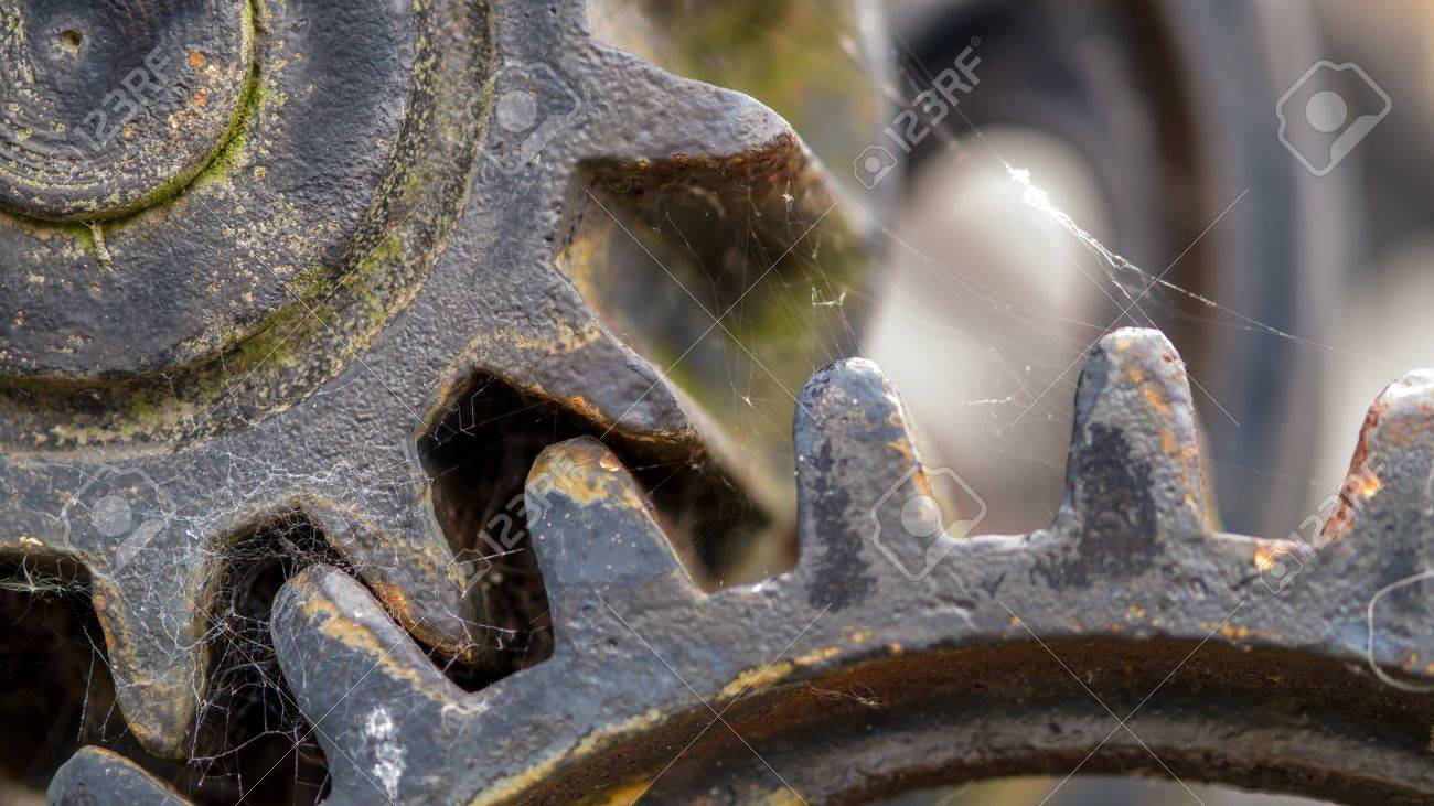 etiam-dictum-ipsum-a-felis