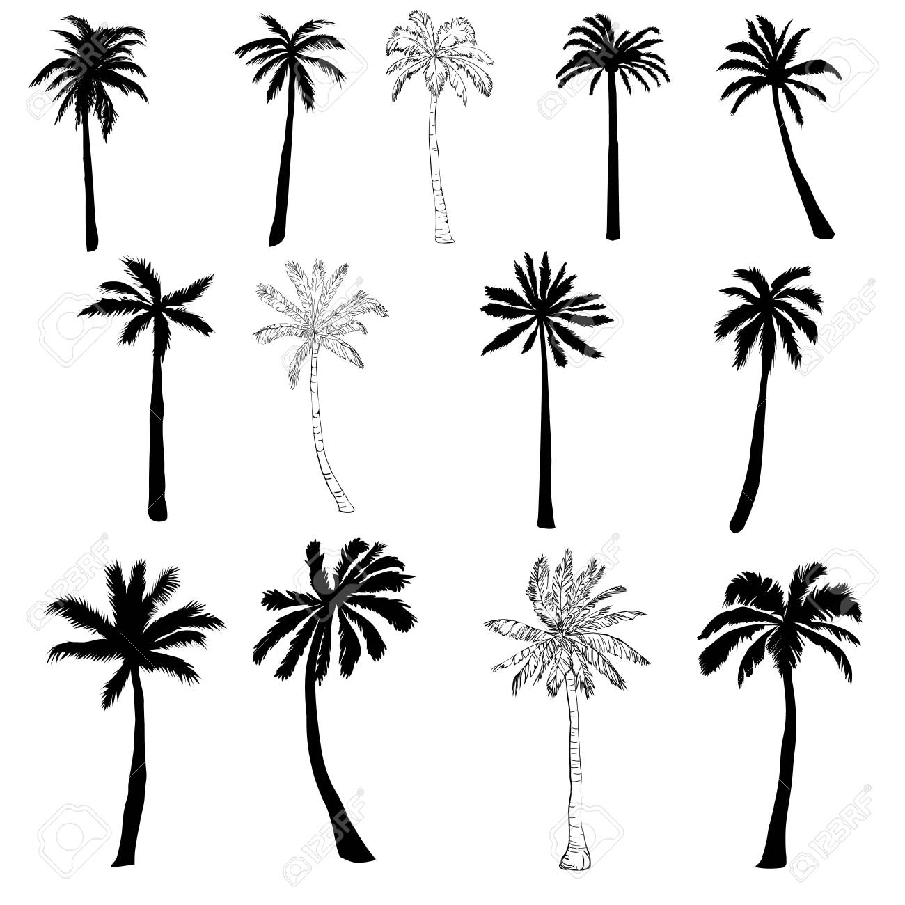 Vector Palm Tree Silhouette Icons On White Background Branch Climate Environment Exotic Flora Floral Hawaii Icon Illustration Island Leaf Nature Outdoor Paradise Plant Royalty Free Cliparts Vectors And Stock Illustration Image