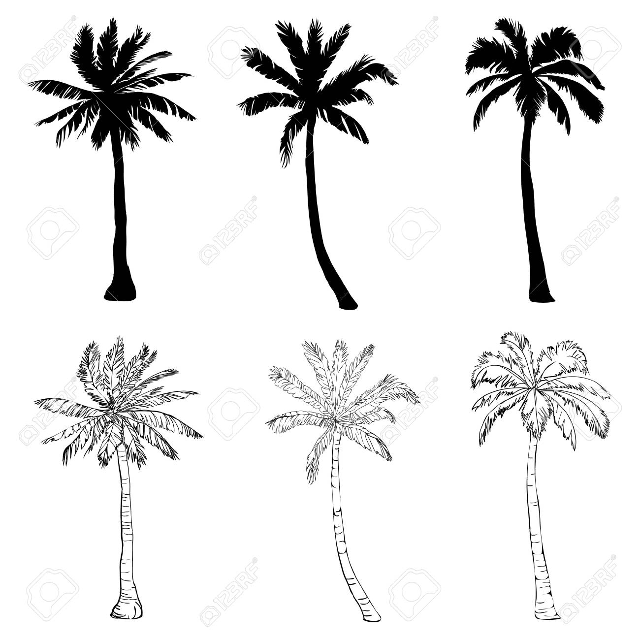 Vector Palm Tree Silhouette Icons On White Background Branch Climate Environment Exotic Flora Floral Hawaii Icon Illustration Island Leaf Nature Outdoor Paradise Plant Stock Photo Picture And Royalty Free Image Image