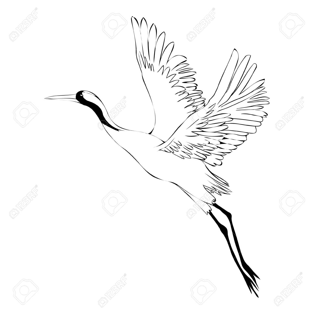 Vector Of Illustrations Bird Crane White Stork Isolated Object Stock Photo Picture And Royalty Free Image Image