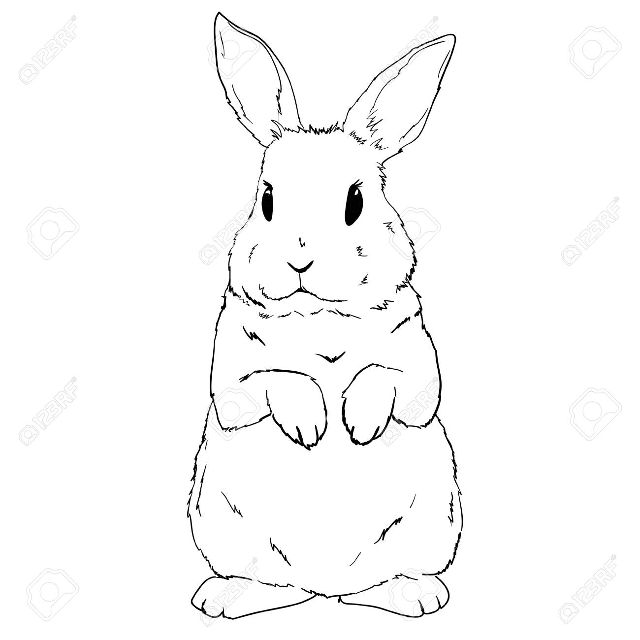 Rabbit sketch and silhouette, vector, illustration bunny black - 100785813 Rabbit sketch and silhouette, vector, illustration bunny black - 100785813