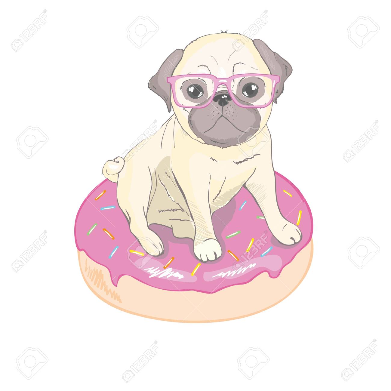 dog donut