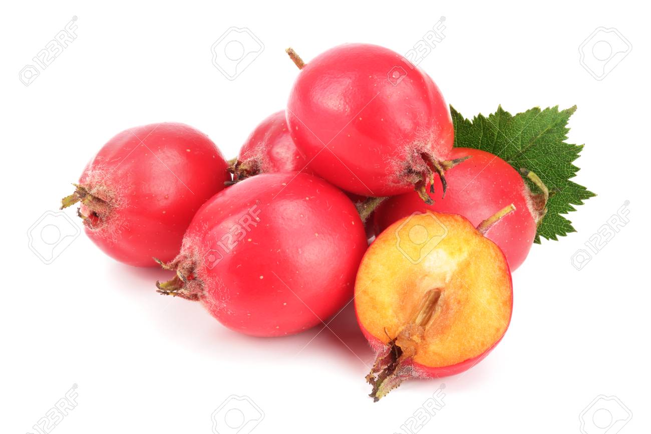 Hawthorn berry with leaf isolated on white background close-up - 89081798 Hawthorn berry with leaf isolated on white background close-up - 89081798