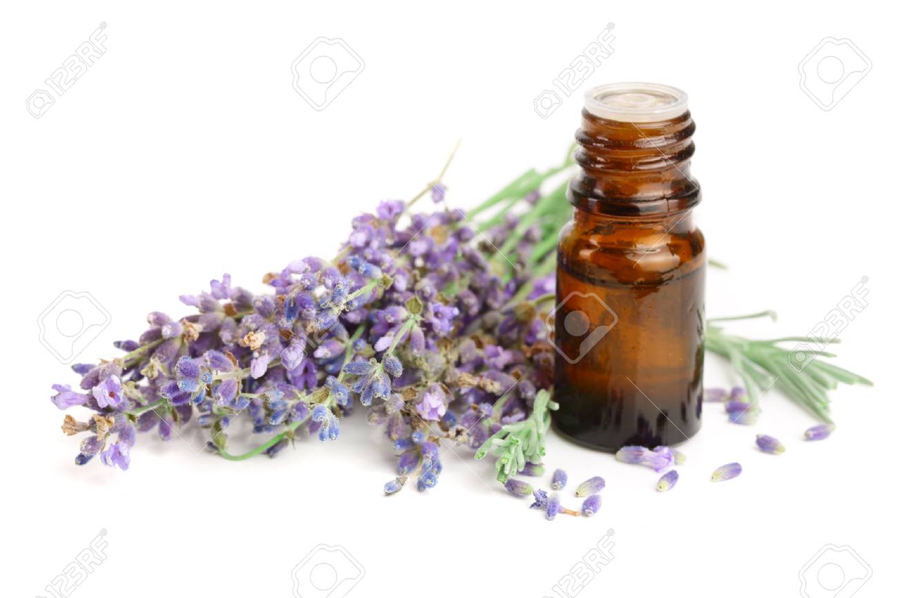 Bottle with aroma oil and lavender flowers isolated on white background - 89122585 Bottle with aroma oil and lavender flowers isolated on white background - 89122585