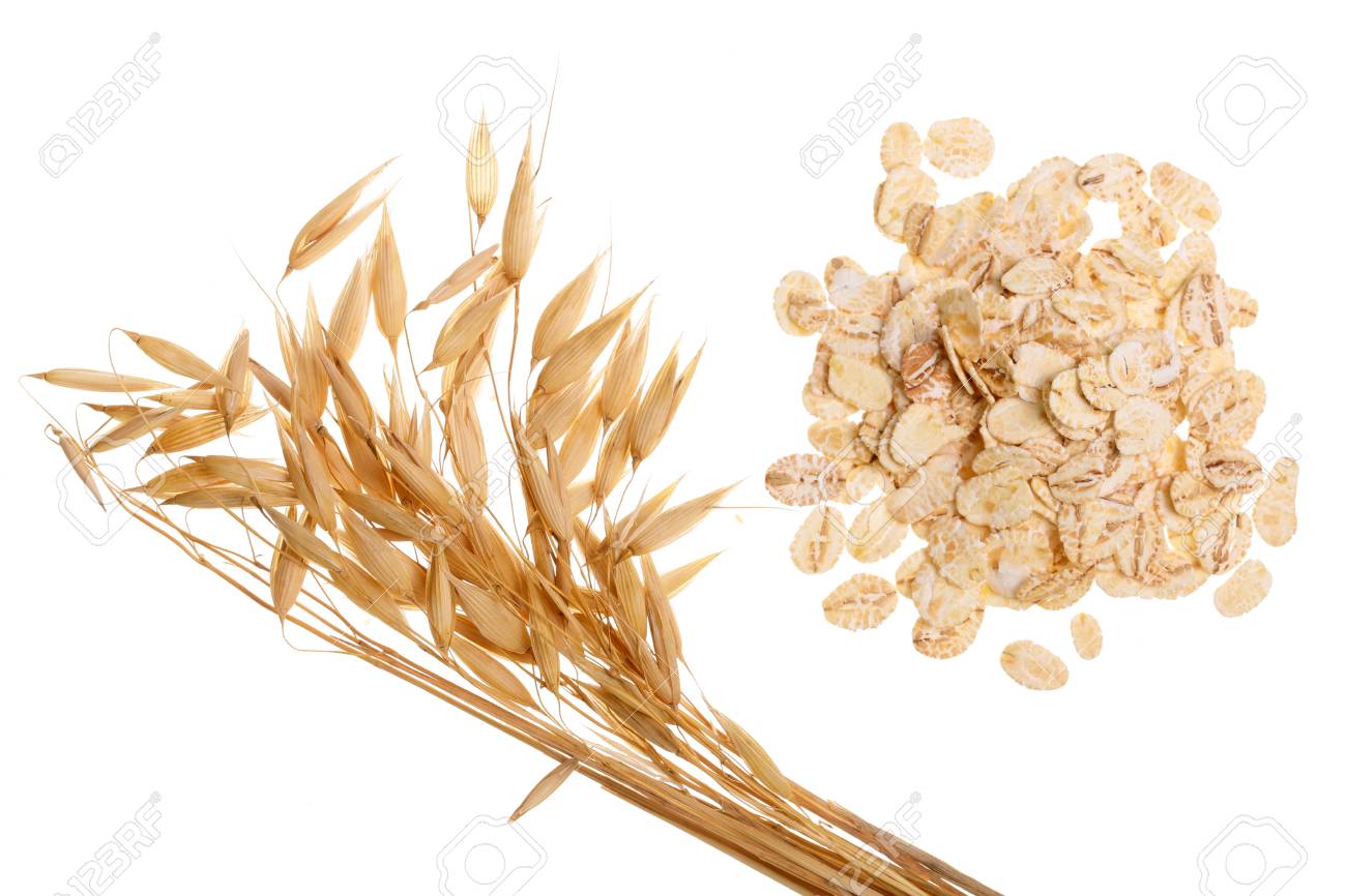 oat spike with oat flakes isolated on white background. Top view. - 96685430 oat spike with oat flakes isolated on white background. Top view. - 96685430
