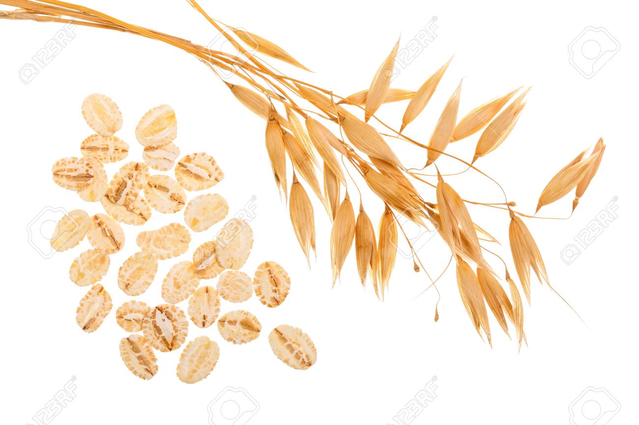 oat spike with oat flakes isolated on white background. Top view - 97101488 oat spike with oat flakes isolated on white background. Top view - 97101488