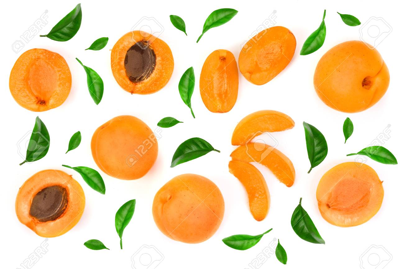 Apricot fruits isolated on white background macro. Top view. Flat lay pattern. - 110600483 Apricot fruits isolated on white background macro. Top view. Flat lay pattern. - 110600483