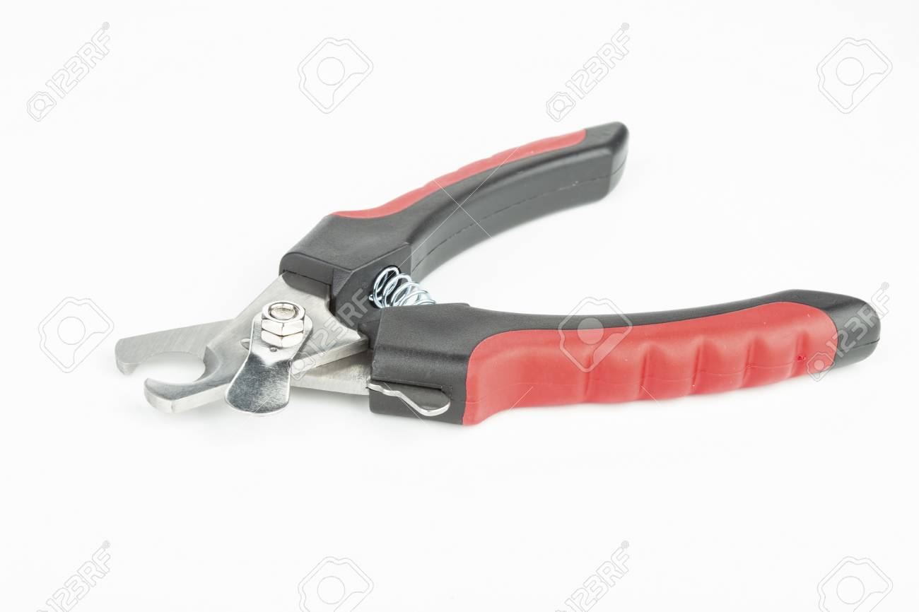 petstock dog clippers