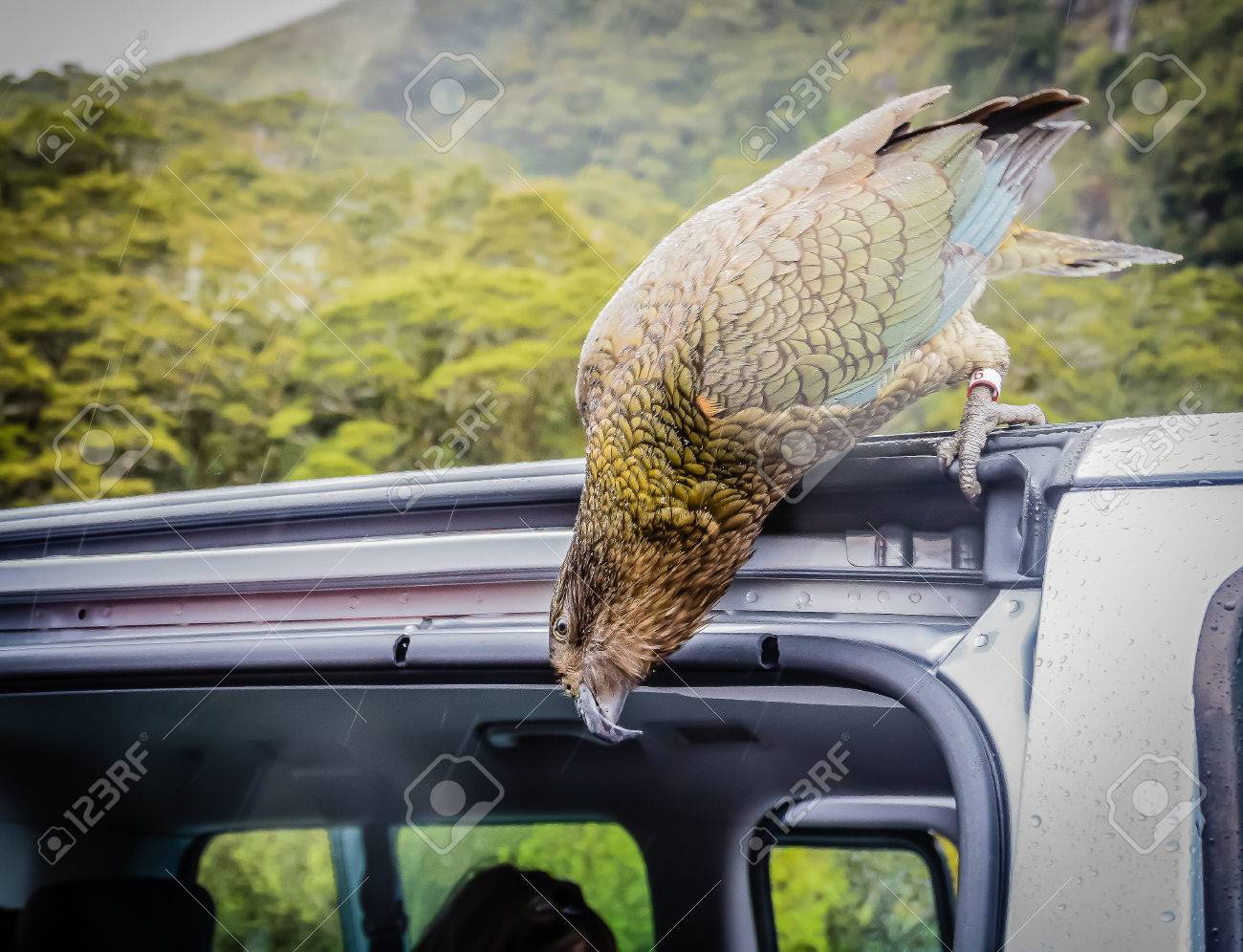 etiam-dictum-ipsum-a-felis