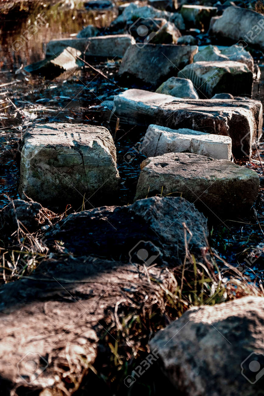 etiam-dictum-ipsum-a-felis