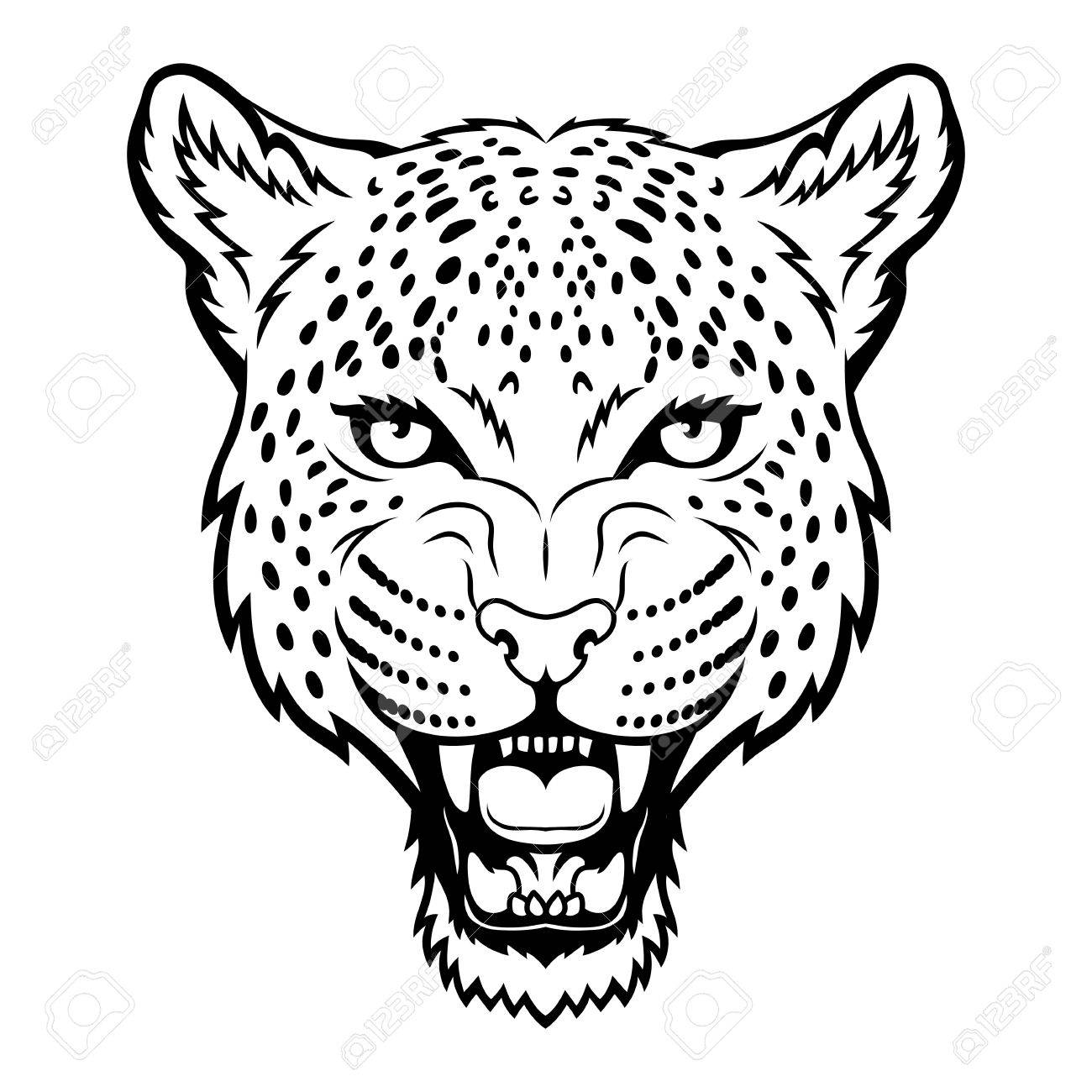 A Leopard Head Royalty Free SVG, Cliparts, Vectors, And Stock Illustration.  Image 19167000.