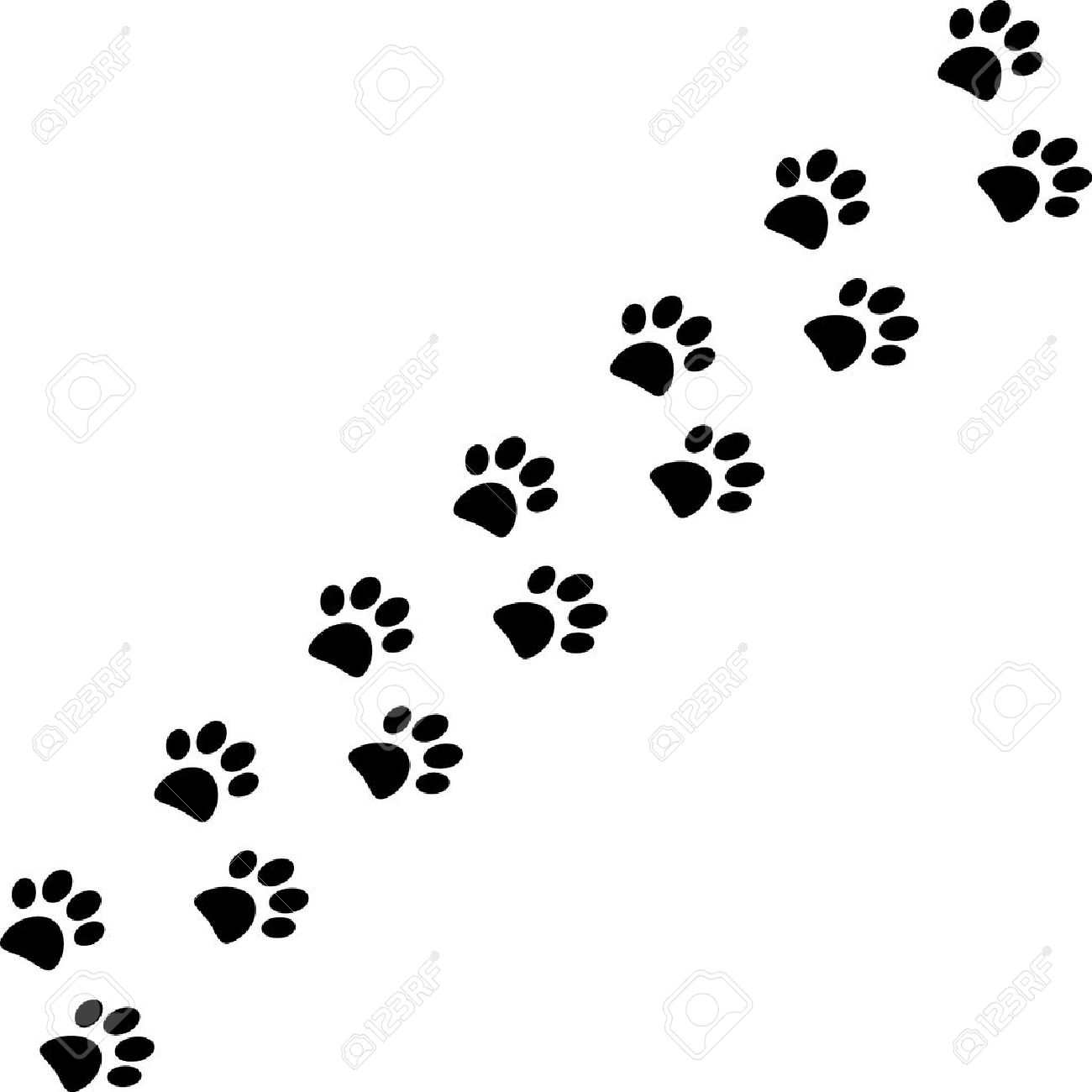 dog paw trail