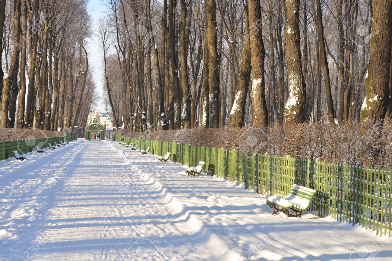 ロシア サンクトペテルブルクの冬の夏の庭の路地 の写真素材 画像素材 Image