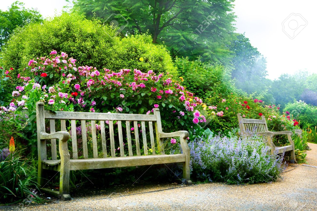 Art bench and flowers in the morning in an English park - 21861977 Art bench and flowers in the morning in an English park - 21861977