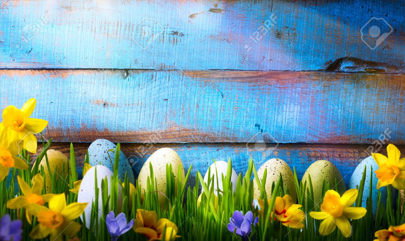 Easter Background with easter eggs and spring flowers on green grass - 54142389