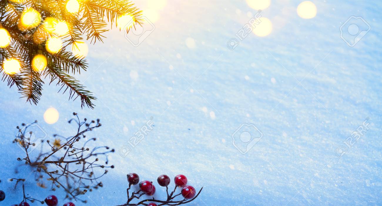 snow christmas tree holly berry and holidays light real winter real christmas tree background