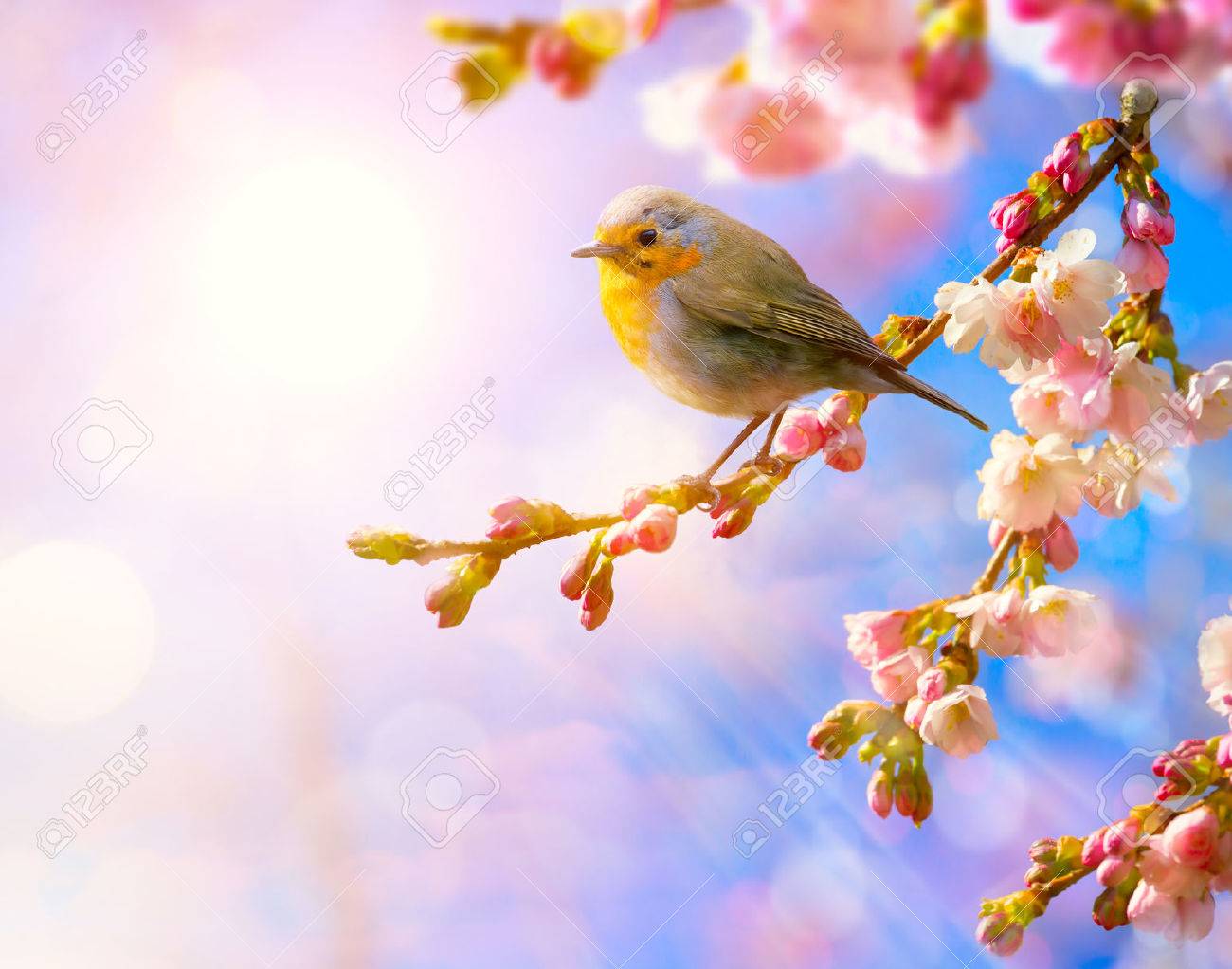 abstract spring landscape nature floral background with pink