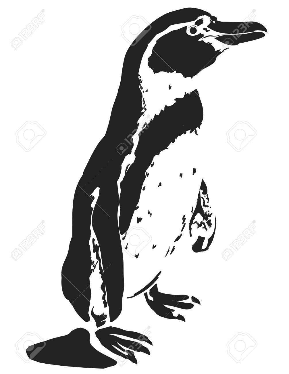 白い背景の黒いペンギン イラスト の写真素材 画像素材 Image