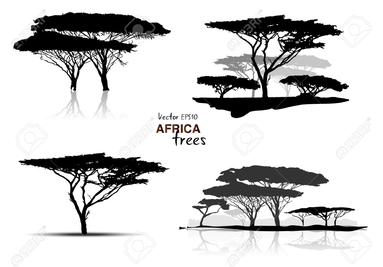 Silhouette Of Africa Trees Black On White Background Vector Illustration Royalty Free Cliparts Vectors And Stock Illustration Image 34465603