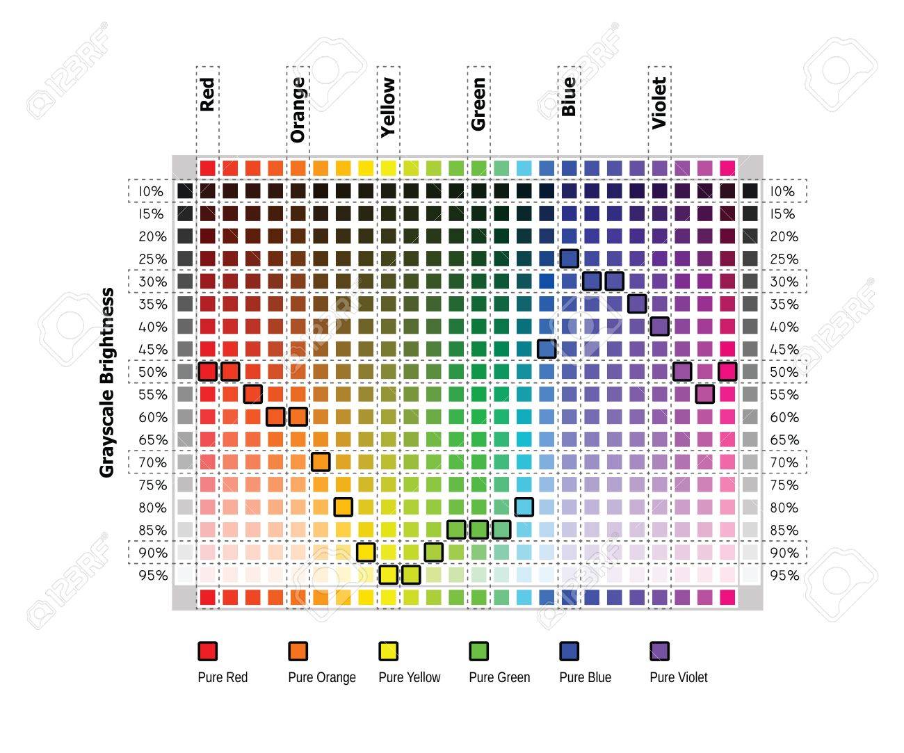 그레이 스케일 (98) 사진