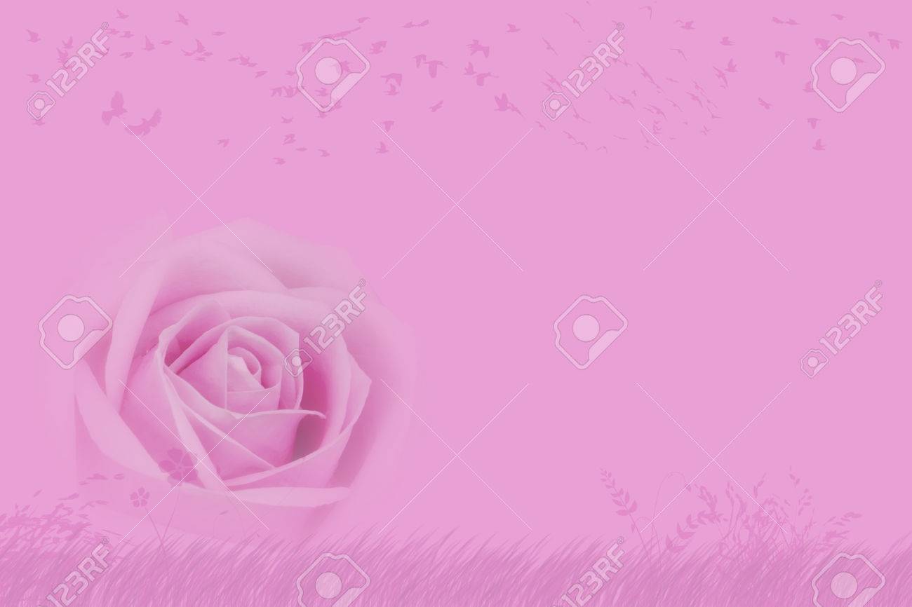 Frais Belle Rose Pétale De Rose Et De Larôme De Fleur Damour Ou Valentine Carte De Jour Sur La Peinture Rose Et Prairie Avec Paysage Oiseaux Fond
