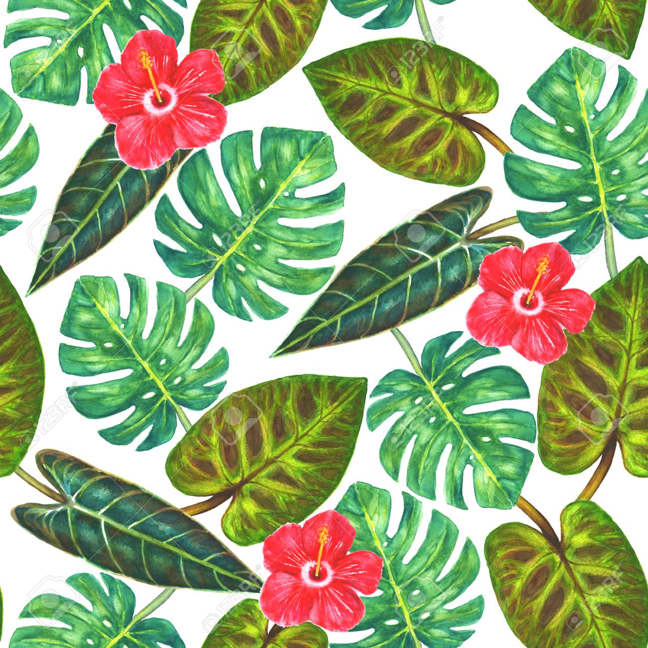 熱帯の背景 白い背景にモンスターとフィロデンドロンとハイビスカスの花の熱帯エキゾチックな緑の葉 水彩画描き下ろしイラスト ラッピング 壁紙 テキスタイル ファブリックのためのシームレスなパターン の写真素材 画像素材 Image