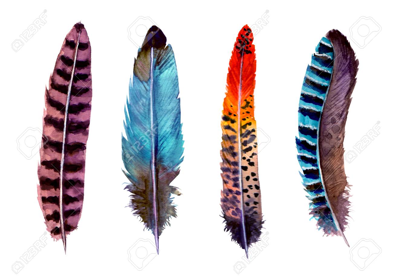 Watercolor Feather Watercolor Feathers Watercolor Flying Bird Watercolor Bird Feather Pattern Feather Print Set of 2 Roostery Cloth Placemats Linen-Cotton Canvas Placemats Watercolor Feather Watercolor Feathers Watercolor Flying Bird Watercolor Bird Feather Pattern Feather Print Set of 2 Roostery Cloth Placemats Linen-Cotton Canvas Placemats