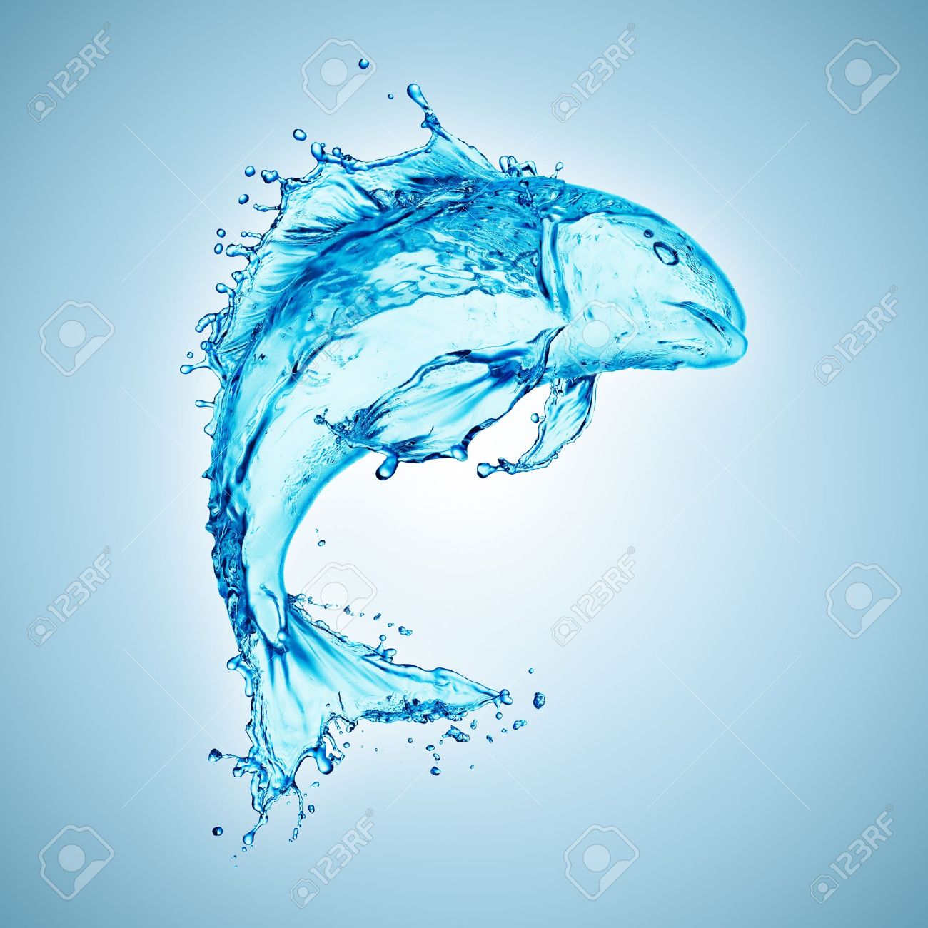 water fish splash isolated on white background - 12770448 water fish splash isolated on white background - 12770448