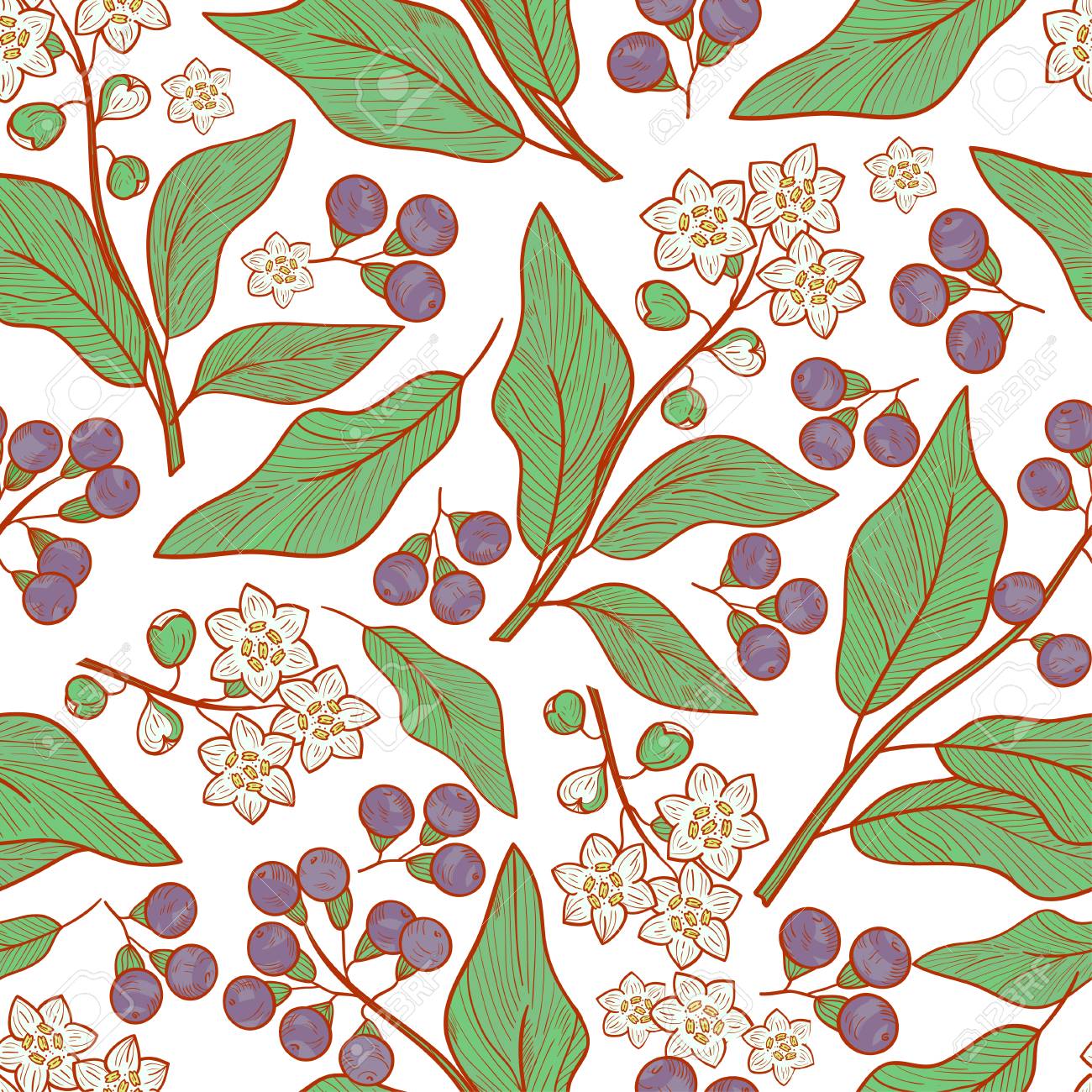カンファー植物の葉 花 果物の壁紙 白い背景にシームレスなスケッチ色のイラスト のイラスト素材 ベクタ Image