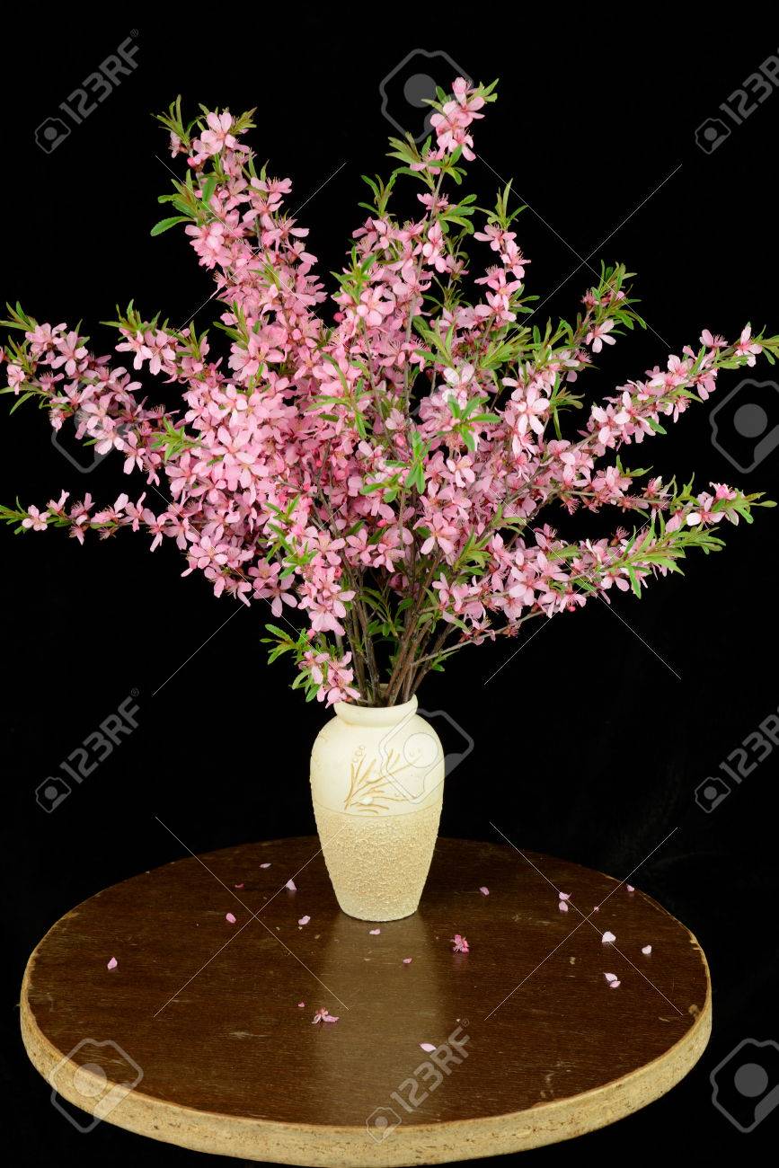 黒の背景の上に花瓶に咲く野生の桜の枝の花束 の写真素材 画像素材 Image 黒の背景の上に花瓶に咲く野生の桜の枝の花束 の写真素材 画像素材 Image