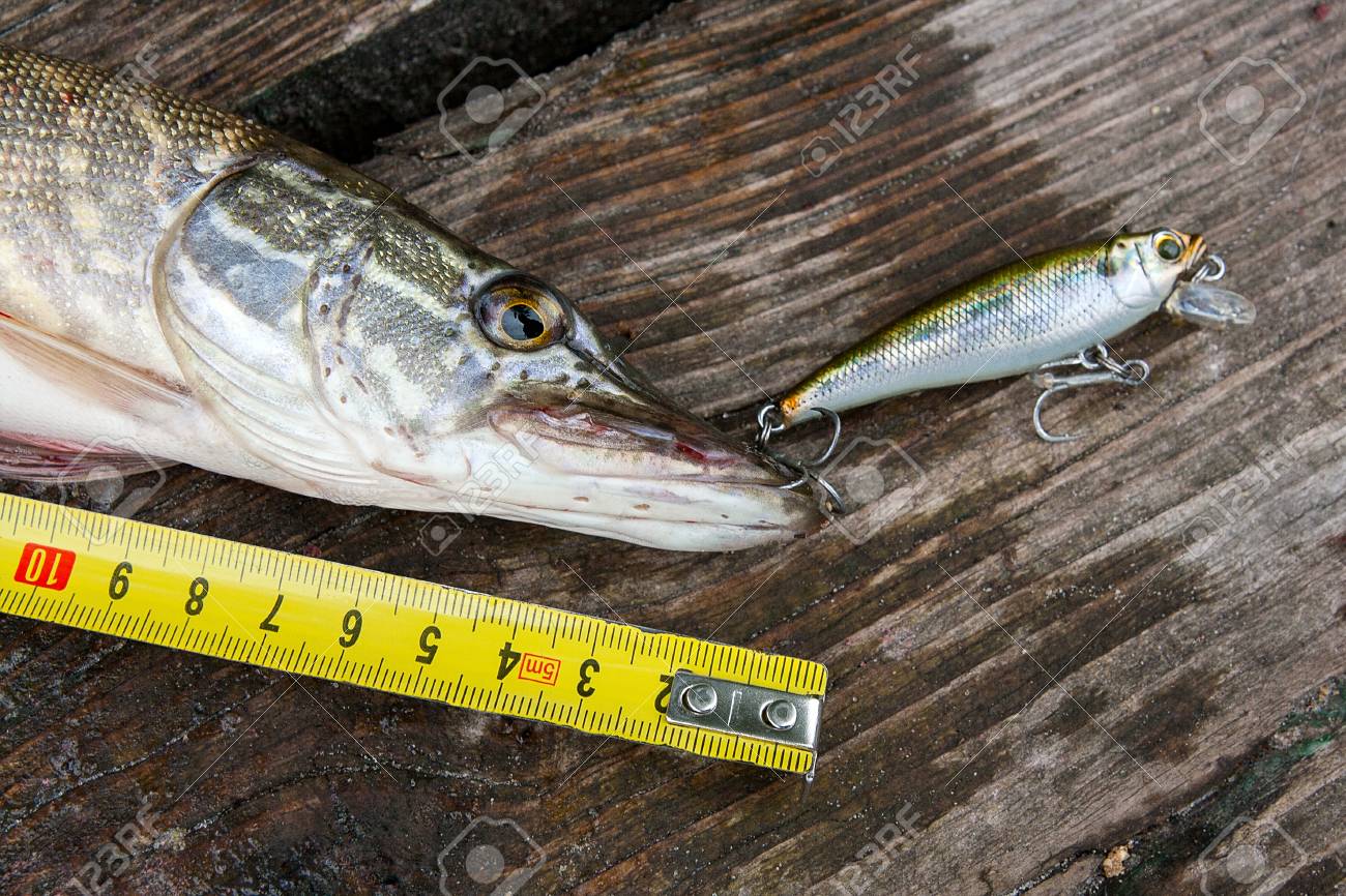 fishing tape measure