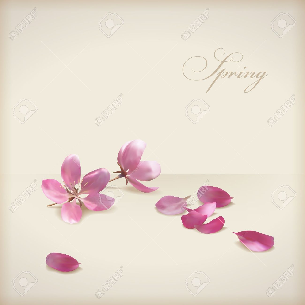 桜の花のベクトルの花春の花ピンクの花 新鮮な落ちた花びらとテキストを設計します のイラスト素材 ベクタ Image