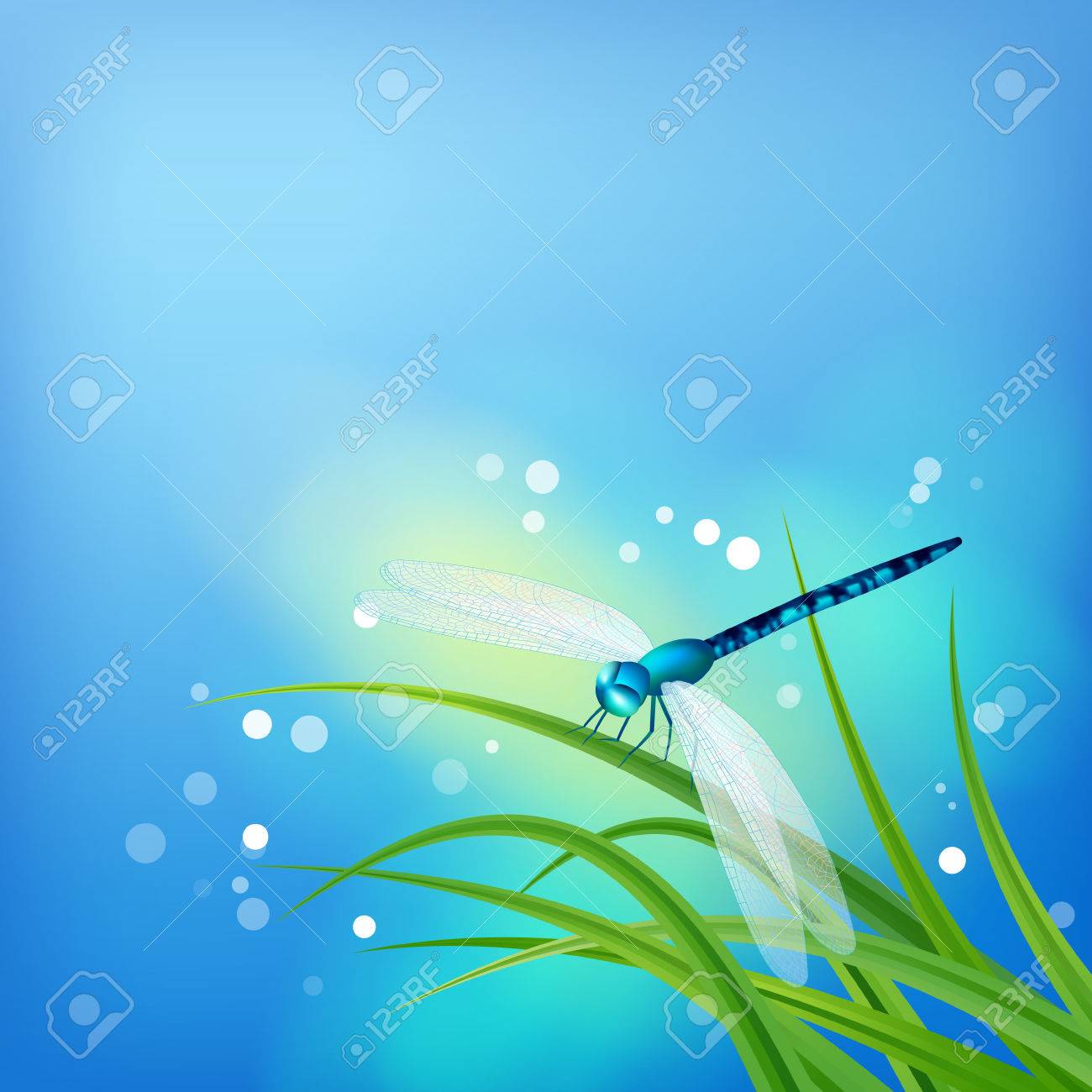 Dragonfly On Grass Blade Summer Abstract Blue Background Royalty Free Cliparts Vectors And Stock Illustration Image