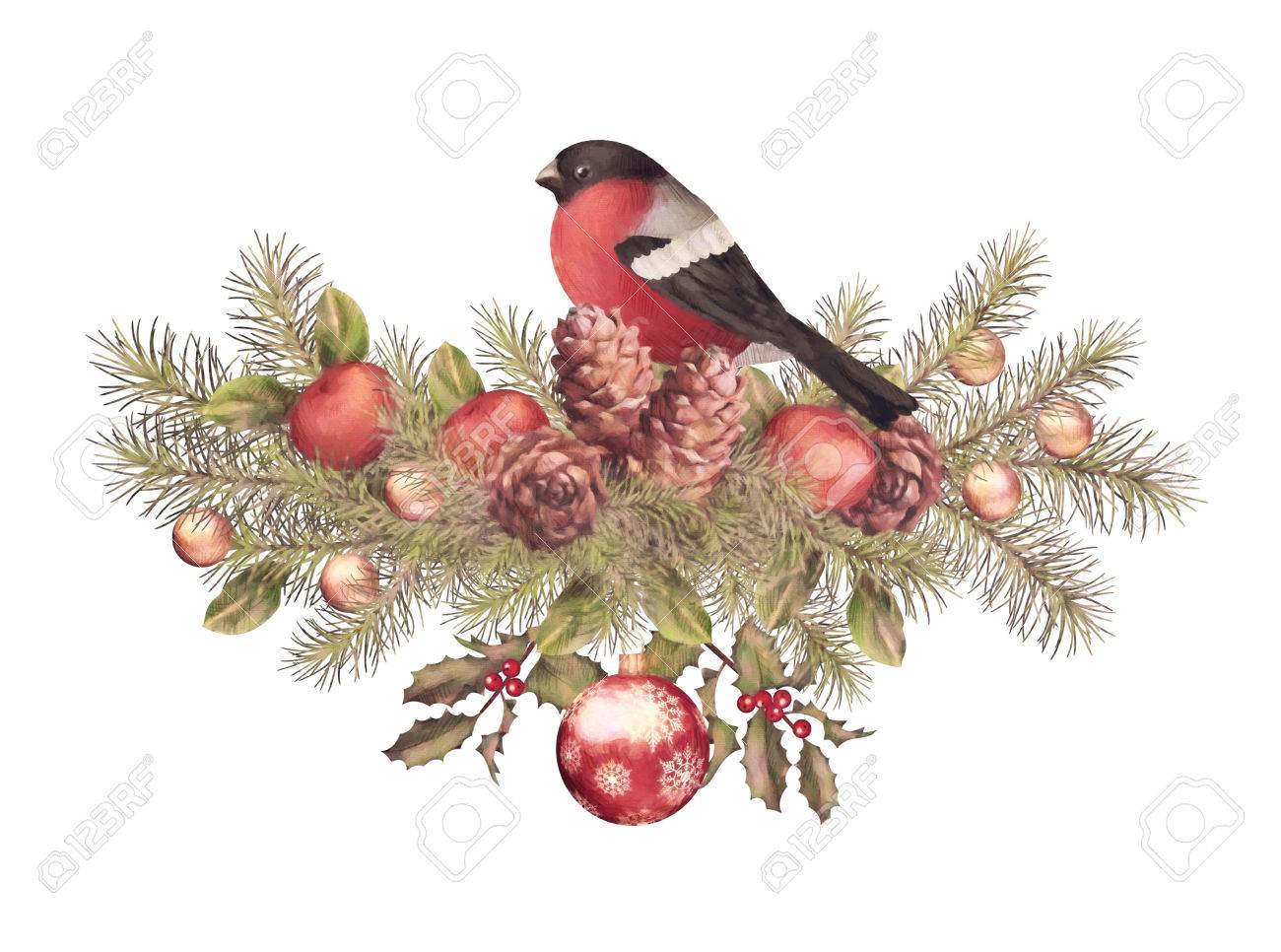 Joyeux Noël Dessin Aquarelle Location Composition Des Décorations De Noël Avec Bouvreuil Des Oiseaux