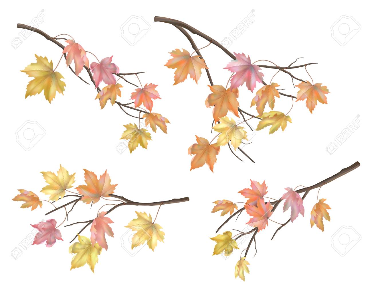Set Of Maple Autumn Leaves And Branches With A Blurred Shadow Royalty Free Cliparts Vectors And Stock Illustration Image 108062439