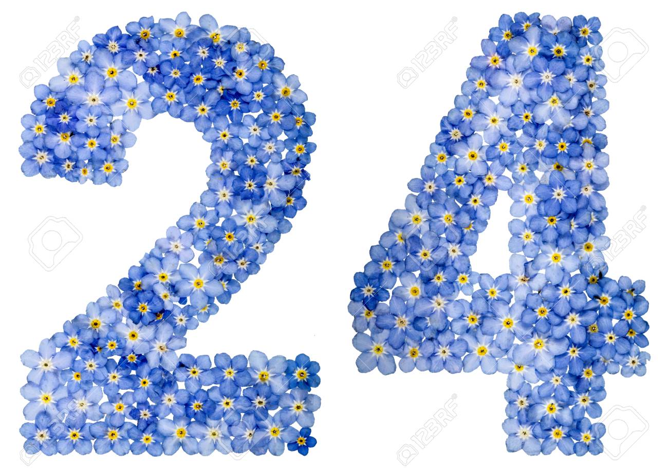 Arabische Zahl 24 Vierundzwanzig Von Den Blauen Vergissmeinnichtblumen Lokalisiert Auf Weissem Hintergrund Lizenzfreie Fotos Bilder Und Stock Fotografie Image 78888020