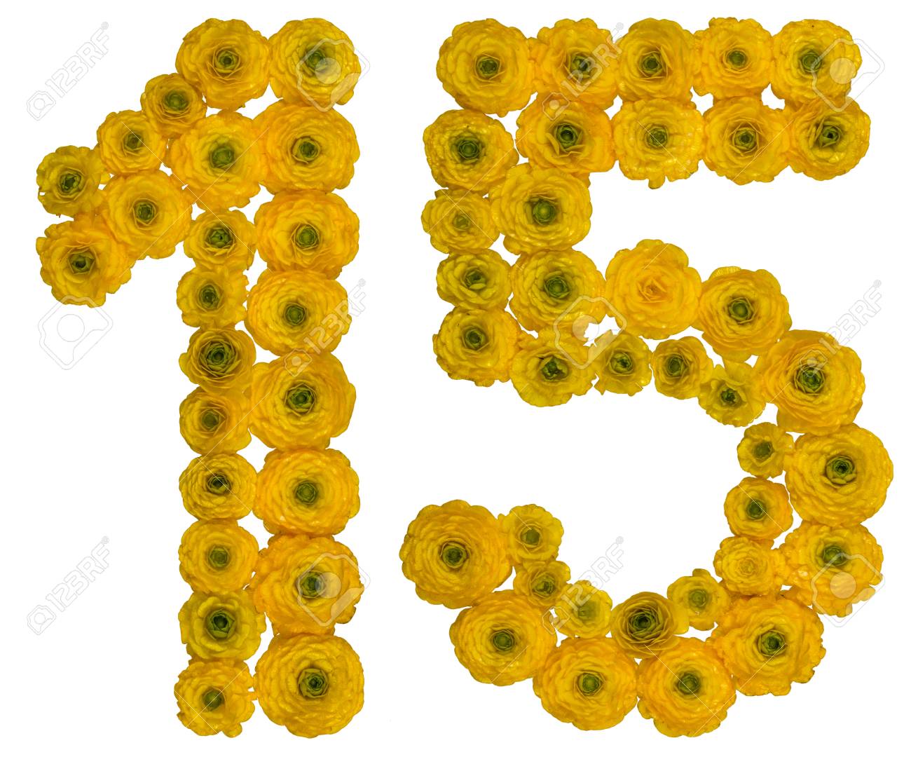 Numero Arabe 15 Quince De Flores Amarillas De Ranunculo Aislado Sobre Fondo Blanco Fotos Retratos Imagenes Y Fotografia De Archivo Libres De Derecho Image Numero Arabe 15 Quince De Flores Amarillas De Ranunculo Aislado Sobre Fondo Blanco Fotos Retratos Imagenes Y Fotografia De Archivo Libres De Derecho Image