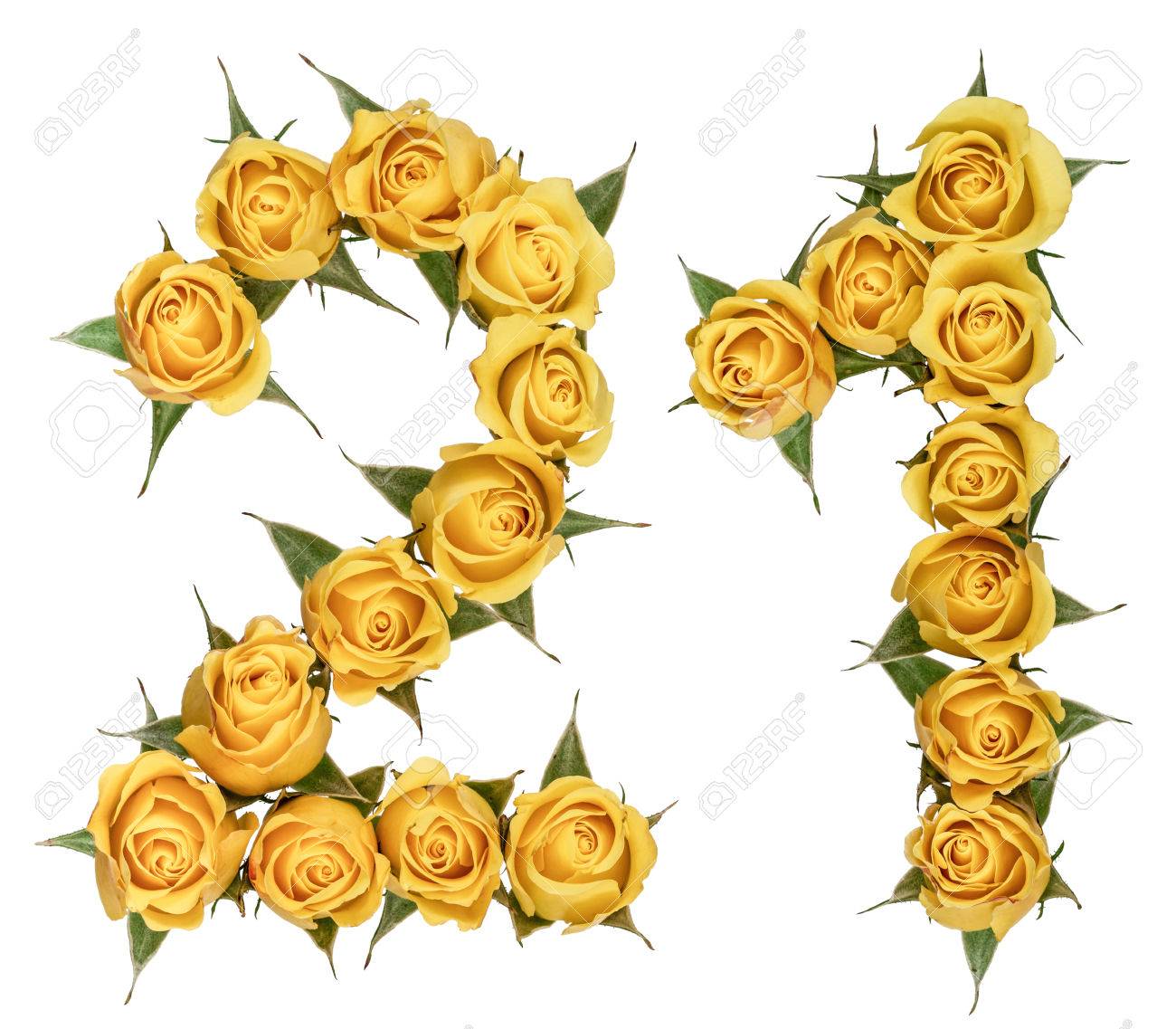 白い背景に分離されたアラビア数字 21 クツ下 ローズ 黄色の花から の写真素材 画像素材 Image