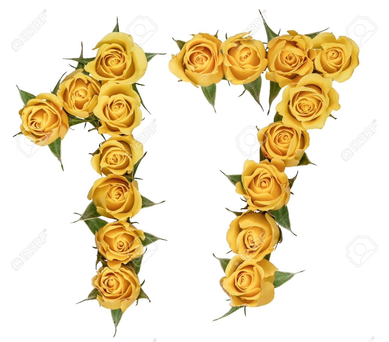 アラビア数字 17、白い背景で隔離 17 ローズ、黄色の花からの写真素材  