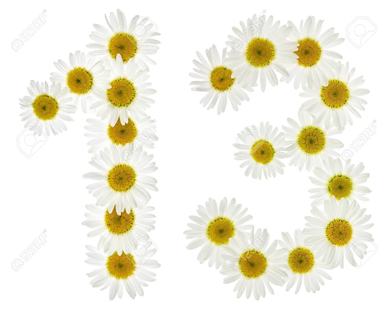 Chiffre Arabe 13 Treize Ans De Fleurs Blanches De Camomille Isole Sur Fond Blanc Banque D Images Et Photos Libres De Droits Image