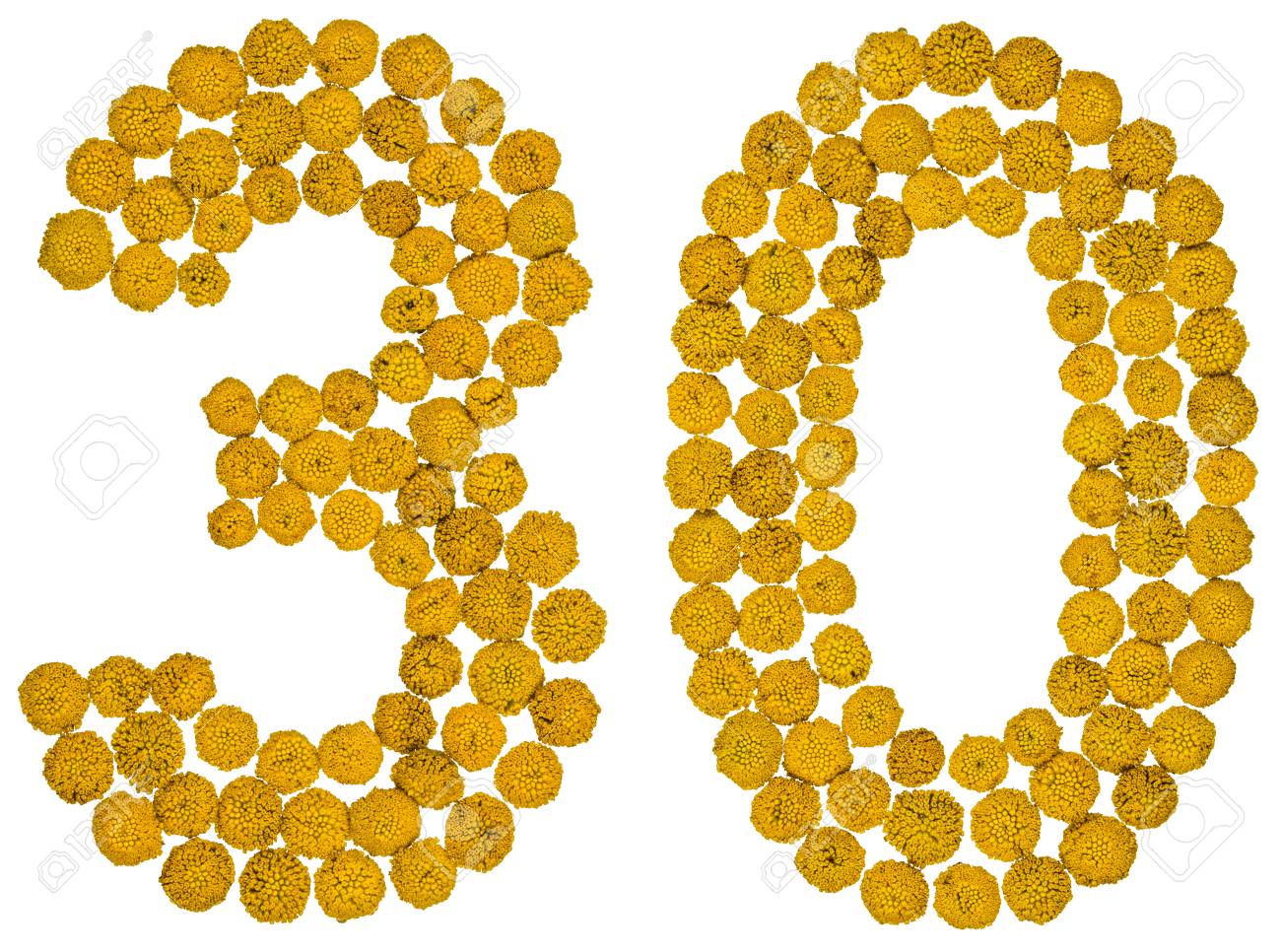 Arabic Numeral 30 Thirty From Yellow Flowers Of Tansy Isolated Stock Photo Picture And Royalty Free Image Image 81296245 https www 123rf com photo 81296245 arabic numeral 30 thirty from yellow flowers of tansy isolated on white background the tansy a plant html