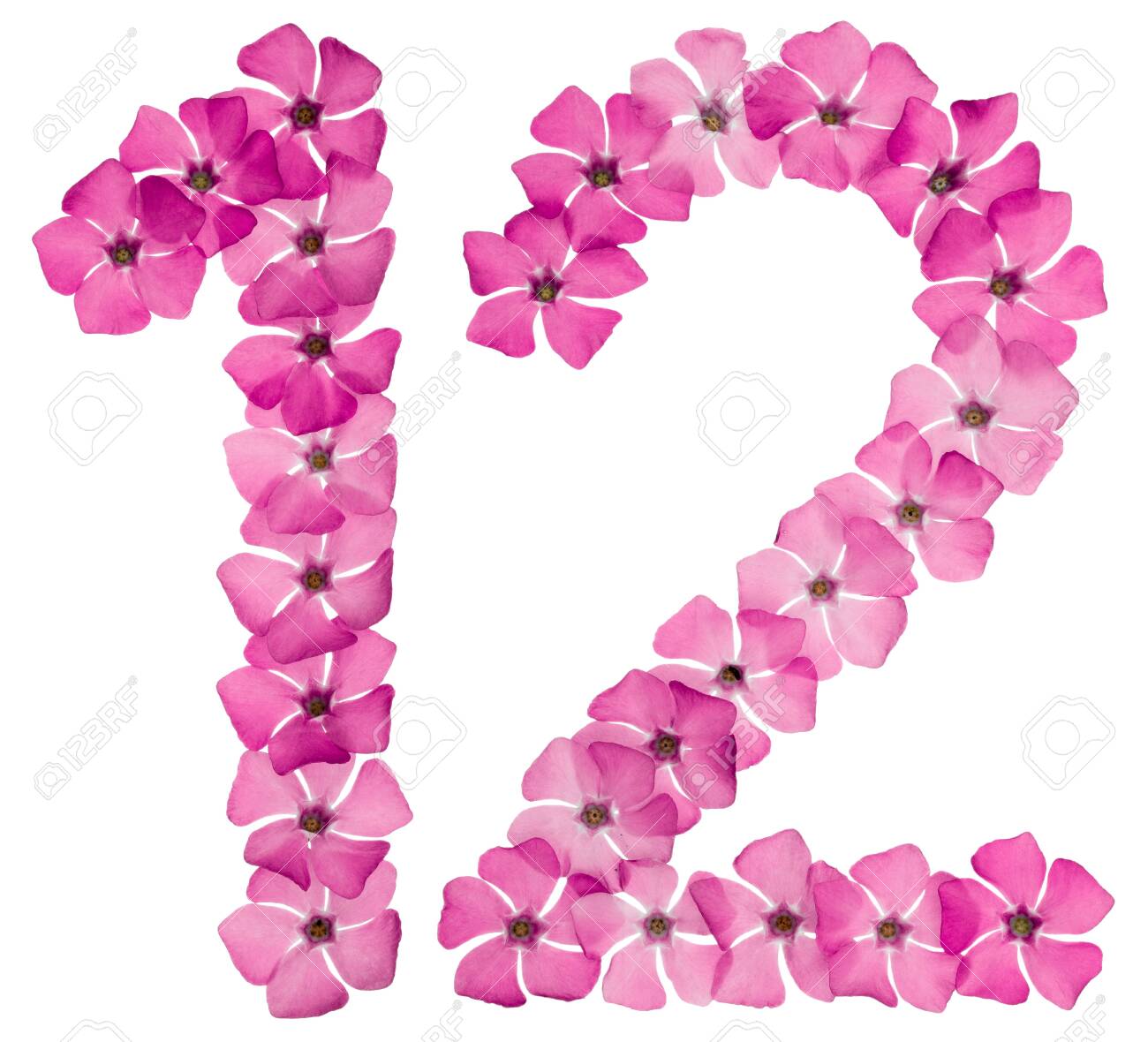 Numeral 12, Twelve, From Natural Pink Flowers Of Periwinkle, Isolated On  White Background Stock Photo, Picture and Royalty Free Image. Image  121117353., image size:1300x1180