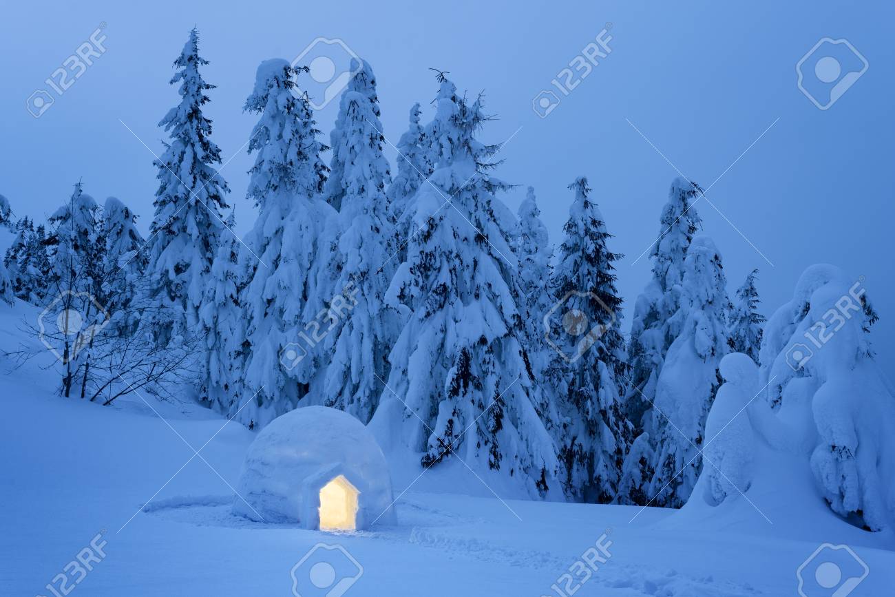 igloo snow in a