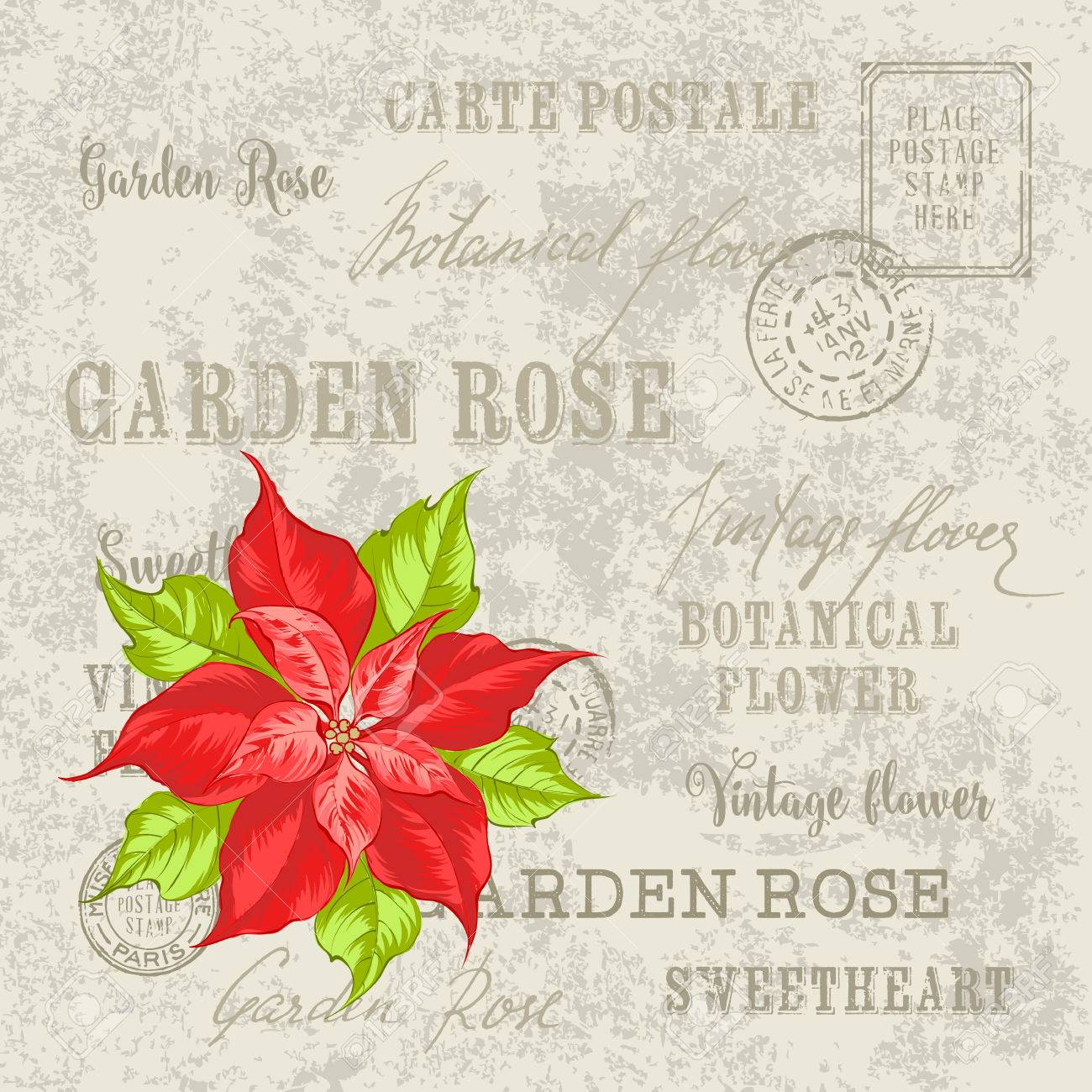 christmas card with poinsettia christmas star vintage postcard poinsettia card