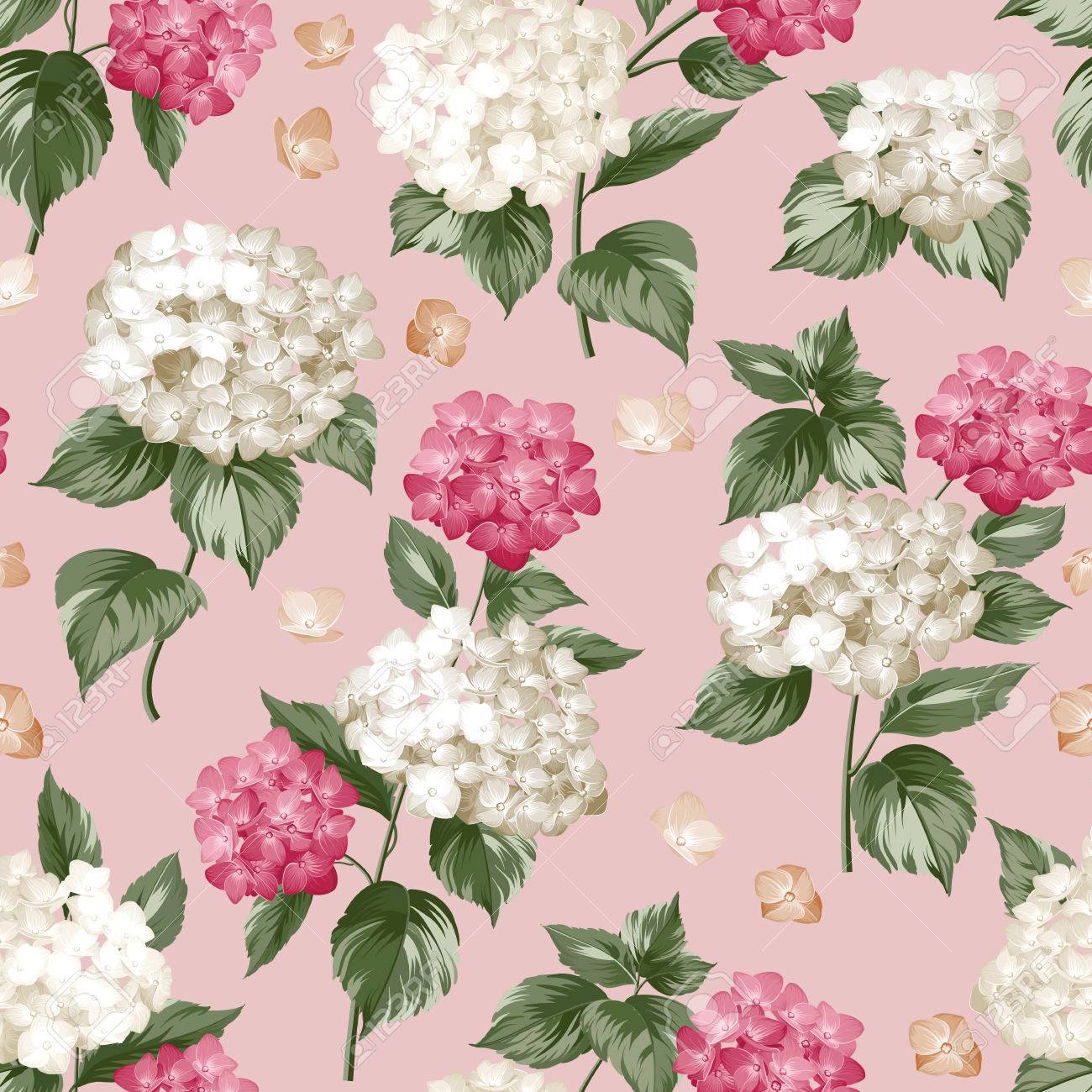 ピンクの背景に紫の花アジサイ モップ頭アジサイ花模様 ピンクの美しい夏の花 ベクトルの図 のイラスト素材 ベクタ Image