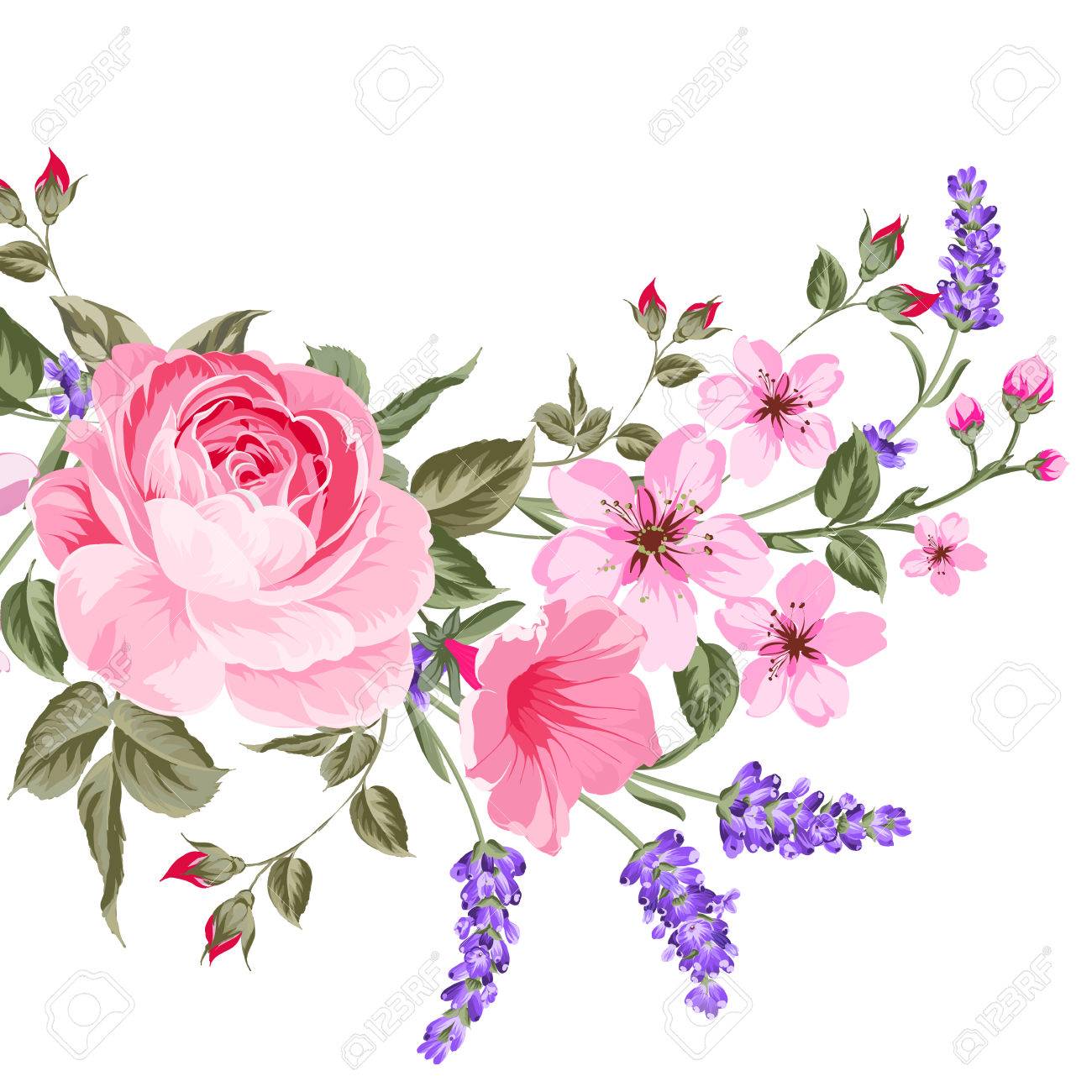 ラベンダーのエレガントなカード プロバンス ラベンダーの植物のイラスト 赤い花とビンテージ スタイルのラベンダーの花束 テキストのカスタム記号と場所のカード イラスト のイラスト素材 ベクタ Image