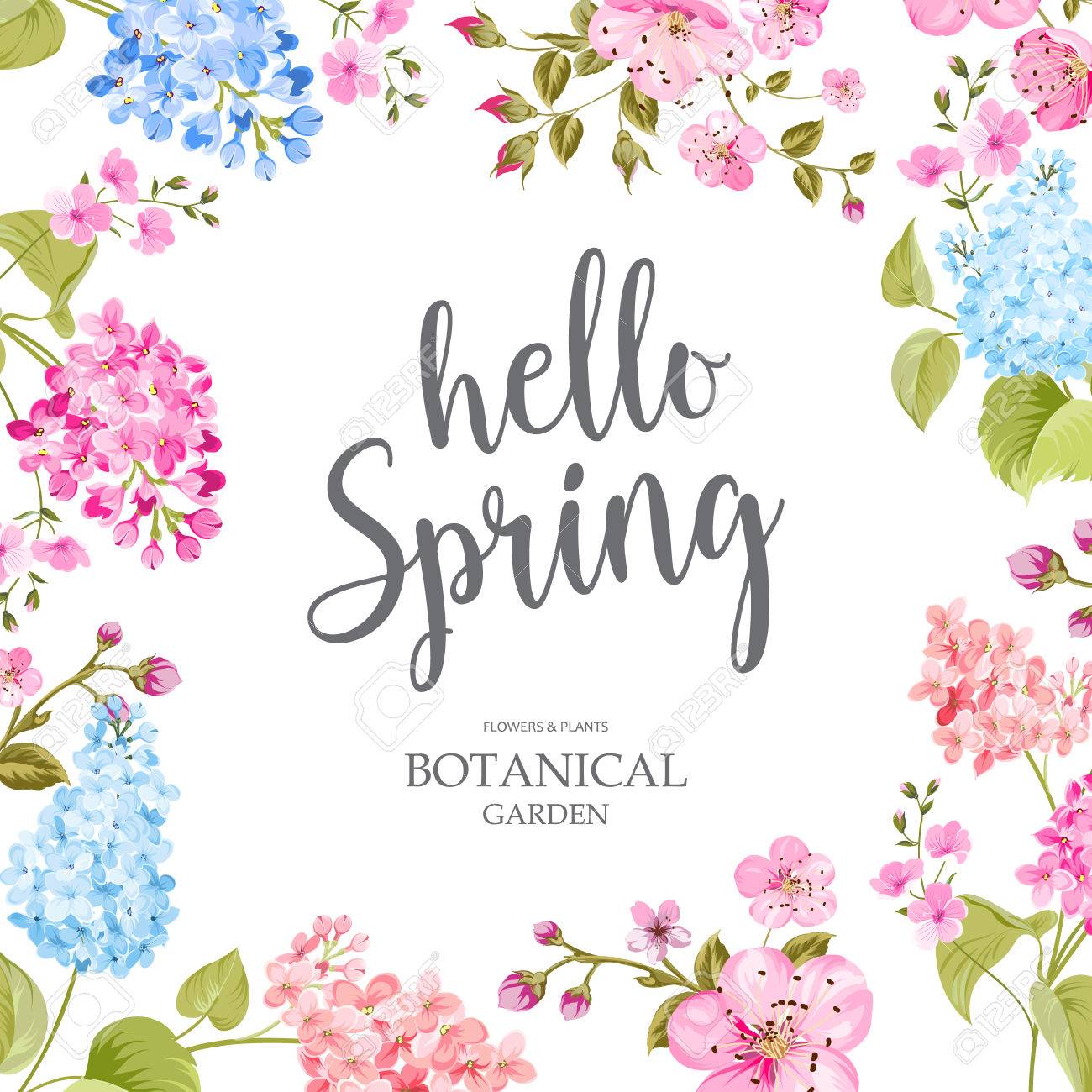Spring time concept of card with blooming flowers isolated over blue background. Vector illustration. - 71810988 Spring time concept of card with blooming flowers isolated over blue background. Vector illustration. - 71810988