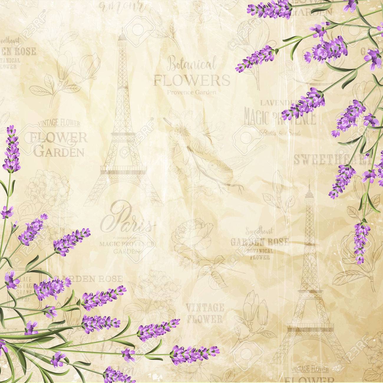postcard background template