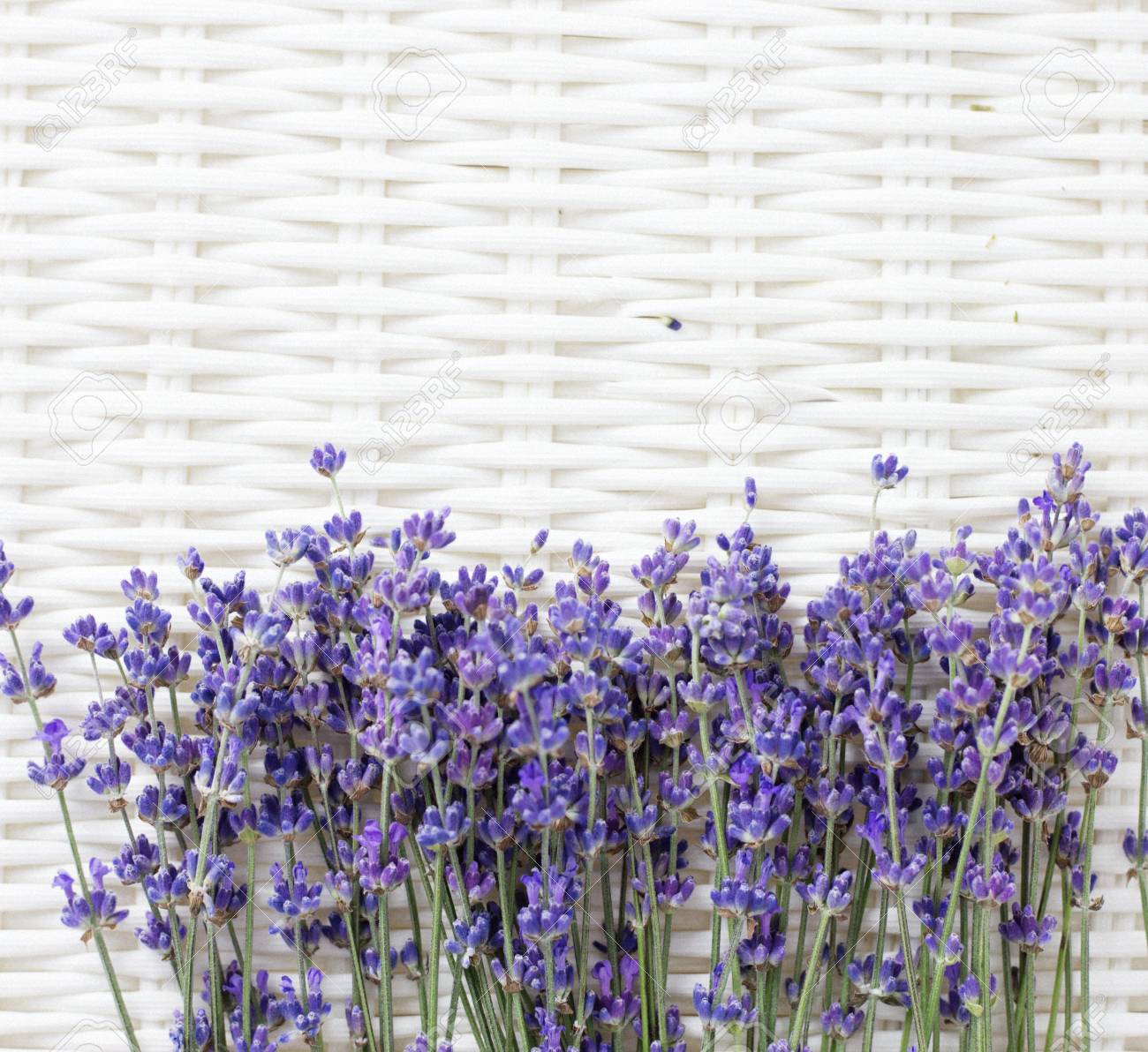 Fleurs De Lavande Séchées Sur Un Panier Blanc Région Provence De La France