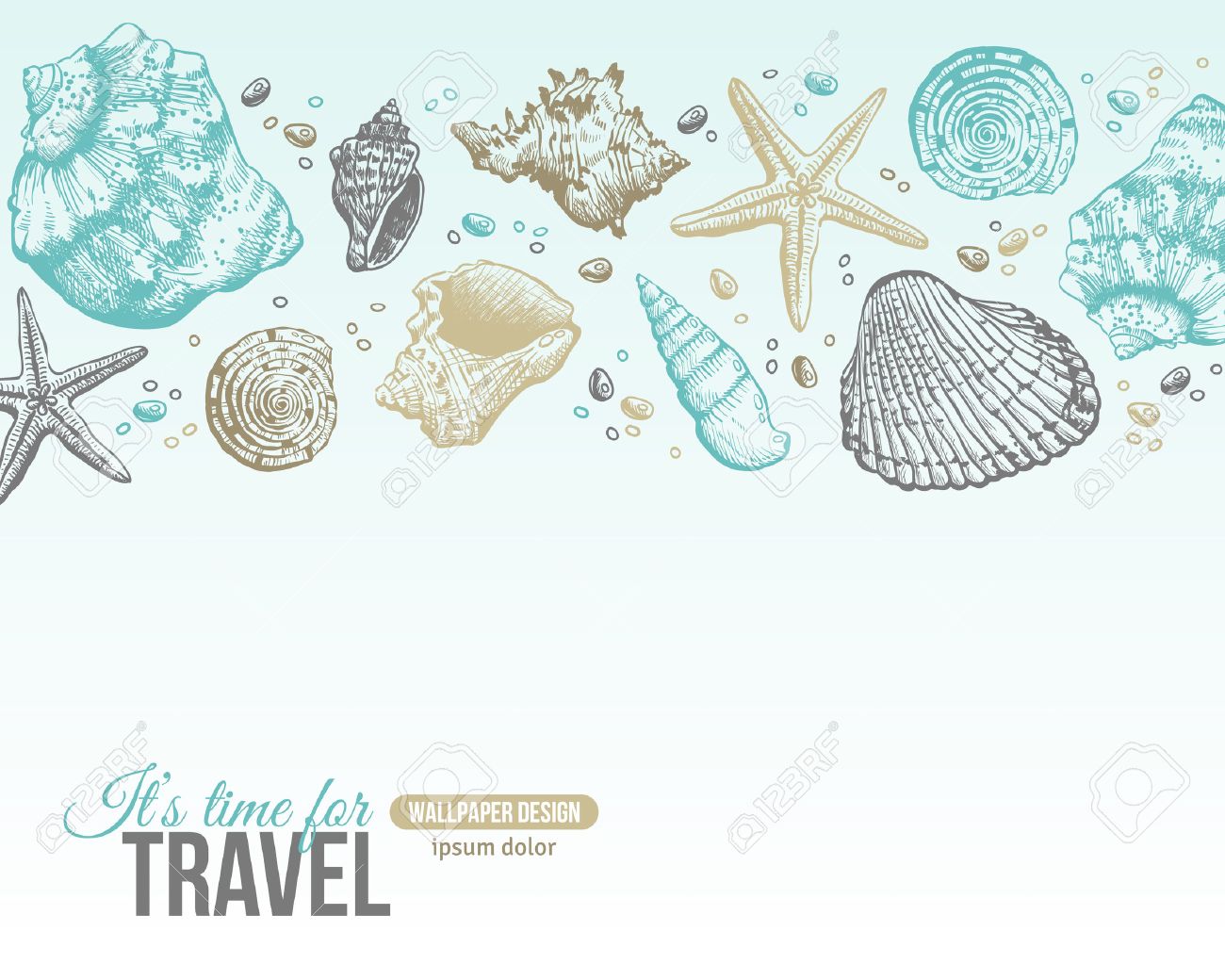Seashells Design Summer Sea Shells Postcard Vector Background